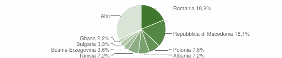 Grafico cittadinanza stranieri - Buonconvento 2009