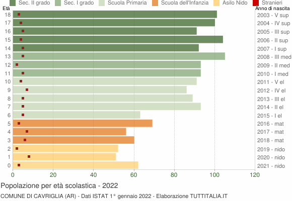 Grafico Popolazione in età scolastica - Cavriglia 2022