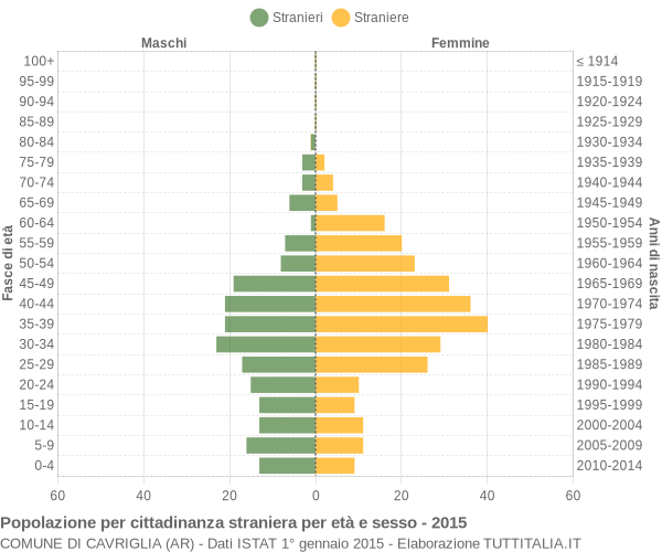 Grafico cittadini stranieri - Cavriglia 2015