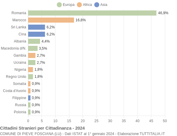 Grafico cittadinanza stranieri - Pieve Fosciana 2024