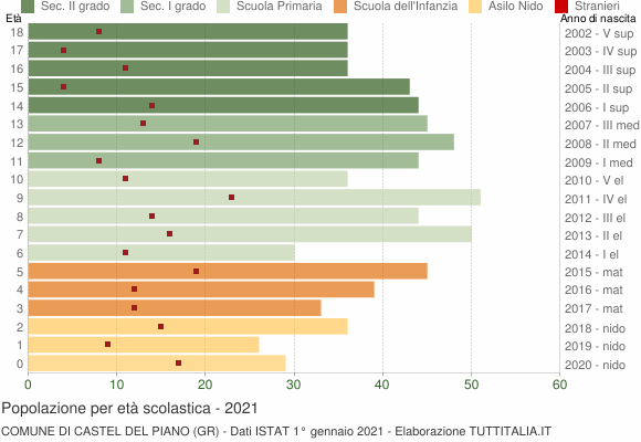 Grafico Popolazione in età scolastica - Castel del Piano 2021