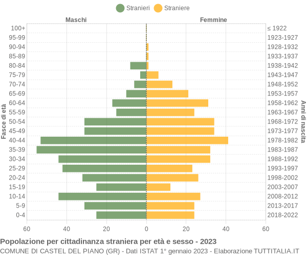 Grafico cittadini stranieri - Castel del Piano 2023