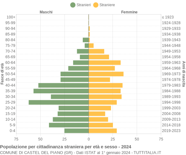 Grafico cittadini stranieri - Castel del Piano 2024