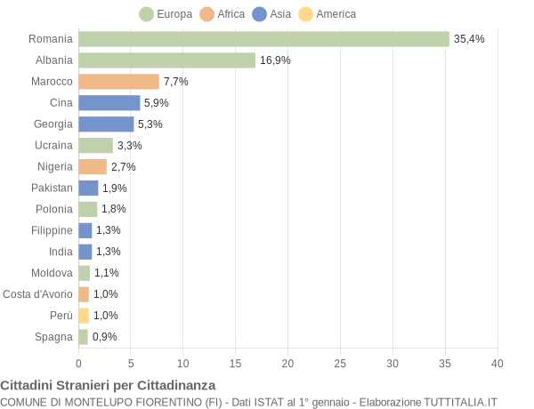 Grafico cittadinanza stranieri - Montelupo Fiorentino 2019