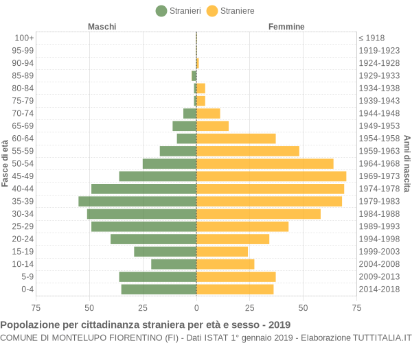 Grafico cittadini stranieri - Montelupo Fiorentino 2019