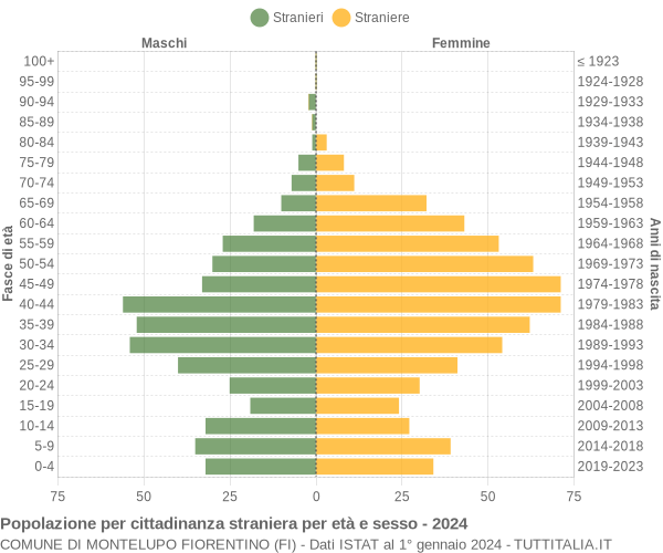 Grafico cittadini stranieri - Montelupo Fiorentino 2024