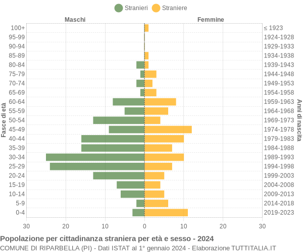 Grafico cittadini stranieri - Riparbella 2024