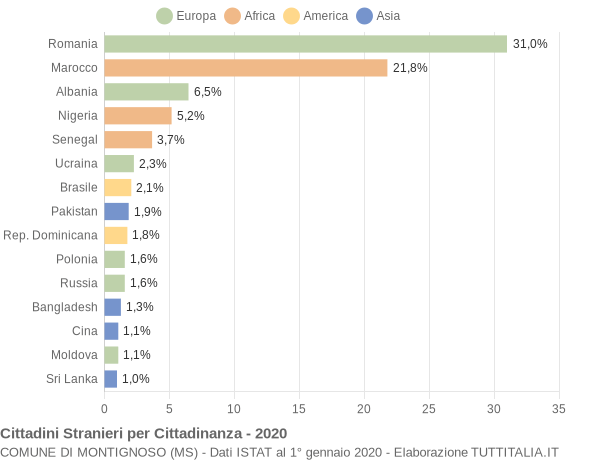 Grafico cittadinanza stranieri - Montignoso 2020