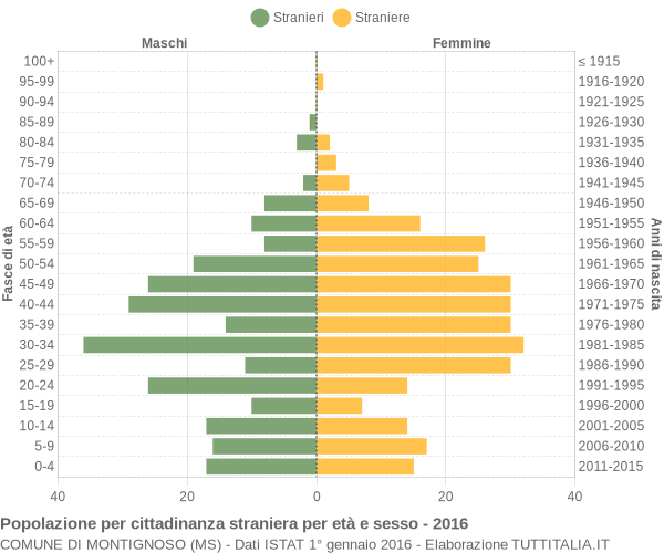 Grafico cittadini stranieri - Montignoso 2016