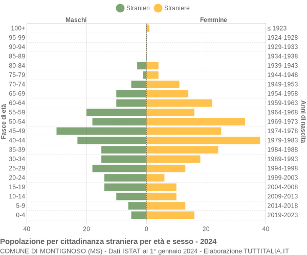 Grafico cittadini stranieri - Montignoso 2024