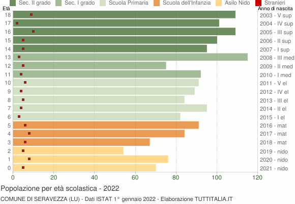 Grafico Popolazione in età scolastica - Seravezza 2022