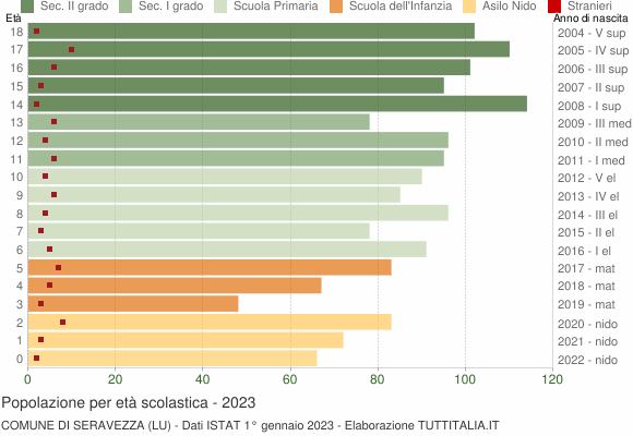 Grafico Popolazione in età scolastica - Seravezza 2023