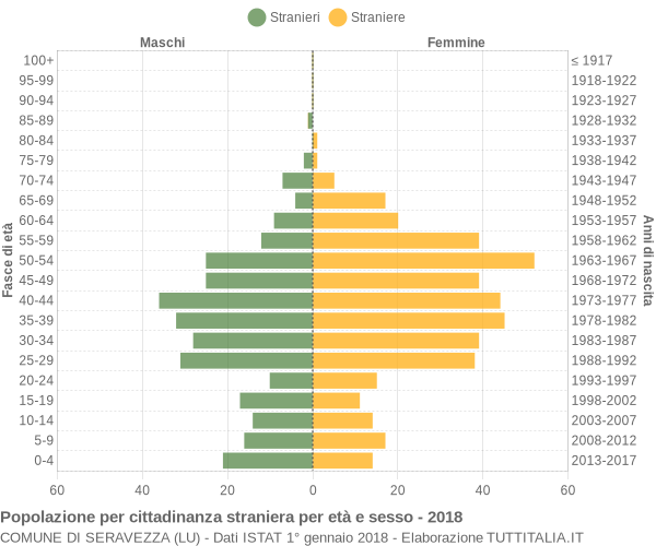 Grafico cittadini stranieri - Seravezza 2018