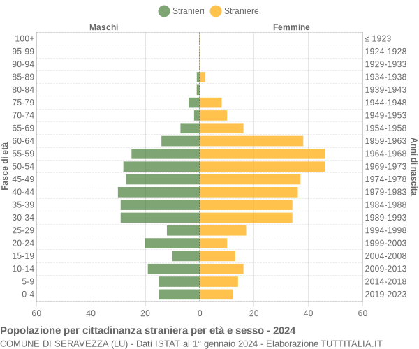 Grafico cittadini stranieri - Seravezza 2024