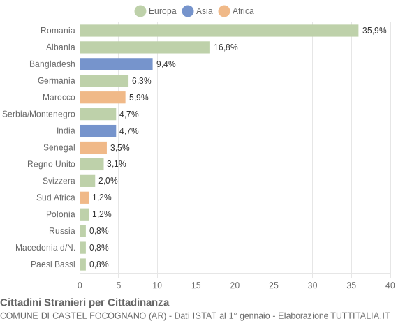 Grafico cittadinanza stranieri - Castel Focognano 2007