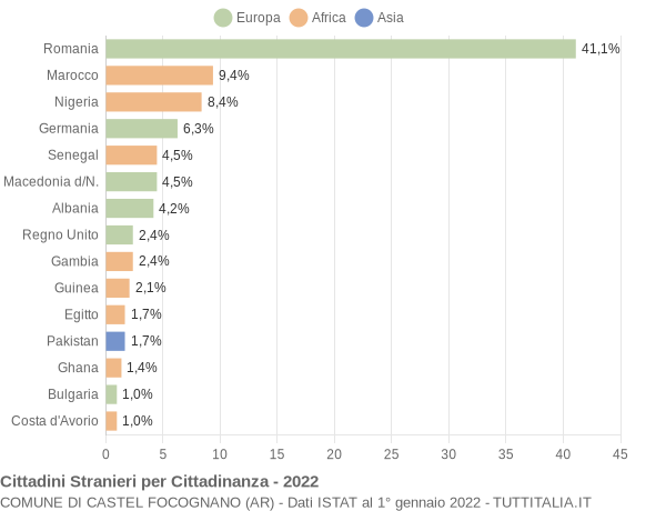 Grafico cittadinanza stranieri - Castel Focognano 2022