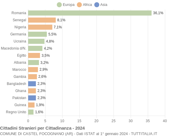 Grafico cittadinanza stranieri - Castel Focognano 2024