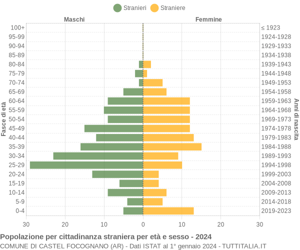 Grafico cittadini stranieri - Castel Focognano 2024