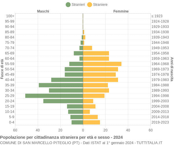 Grafico cittadini stranieri - San Marcello Piteglio 2024