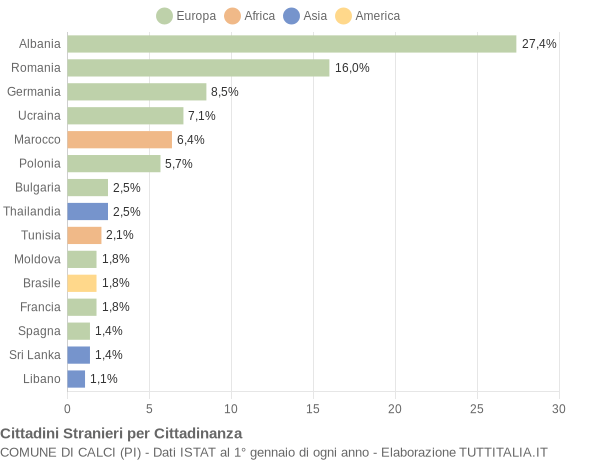 Grafico cittadinanza stranieri - Calci 2009
