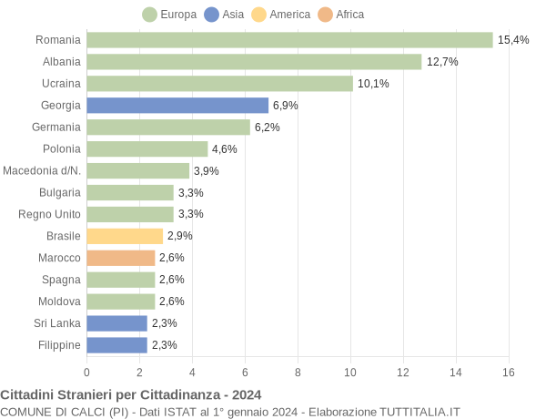 Grafico cittadinanza stranieri - Calci 2024