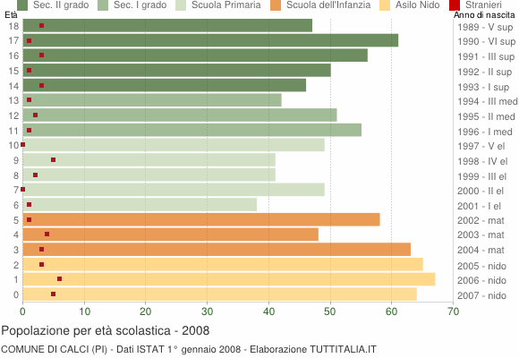 Grafico Popolazione in età scolastica - Calci 2008
