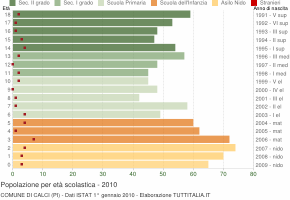 Grafico Popolazione in età scolastica - Calci 2010