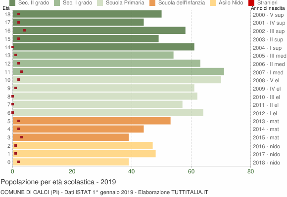 Grafico Popolazione in età scolastica - Calci 2019