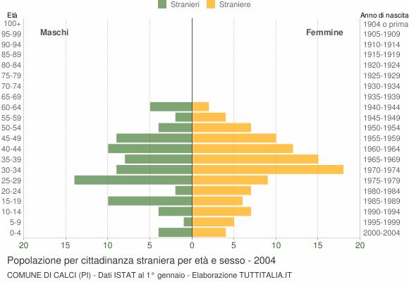 Grafico cittadini stranieri - Calci 2004