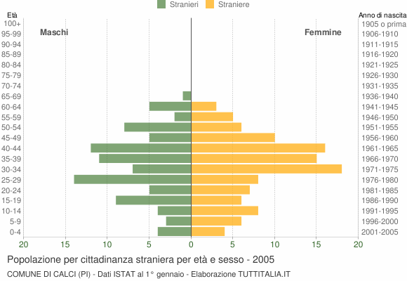 Grafico cittadini stranieri - Calci 2005