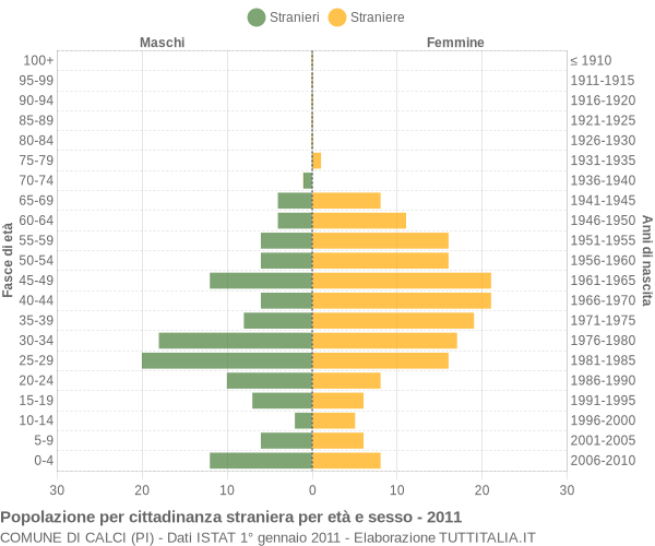 Grafico cittadini stranieri - Calci 2011