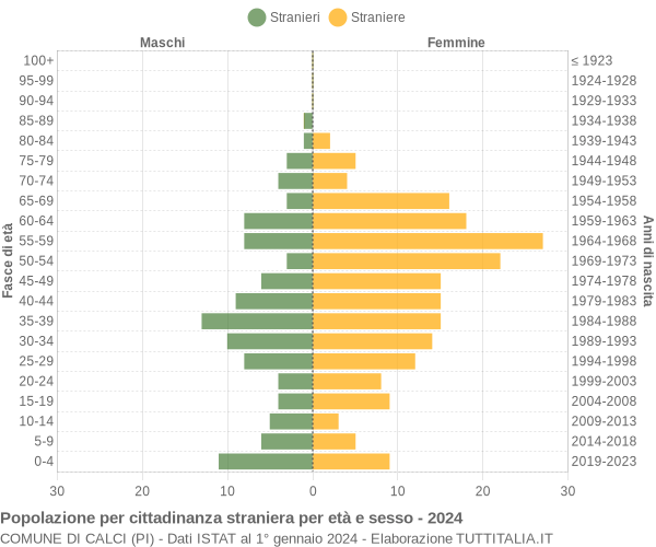 Grafico cittadini stranieri - Calci 2024