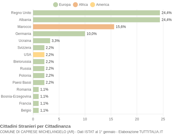 Grafico cittadinanza stranieri - Caprese Michelangelo 2005