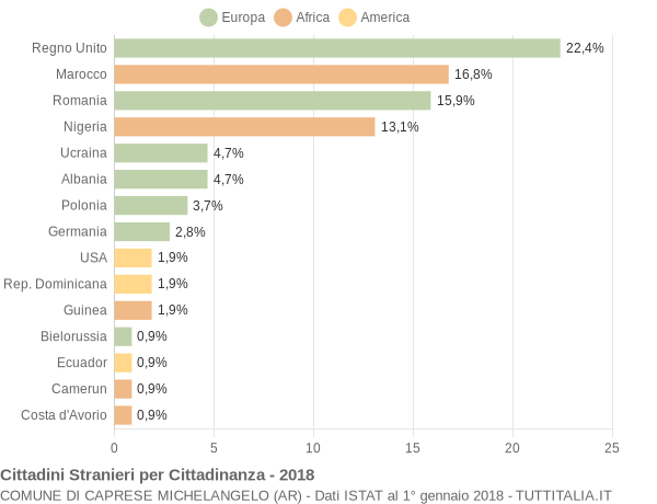 Grafico cittadinanza stranieri - Caprese Michelangelo 2018