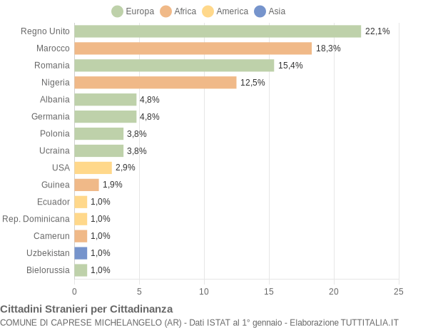 Grafico cittadinanza stranieri - Caprese Michelangelo 2019