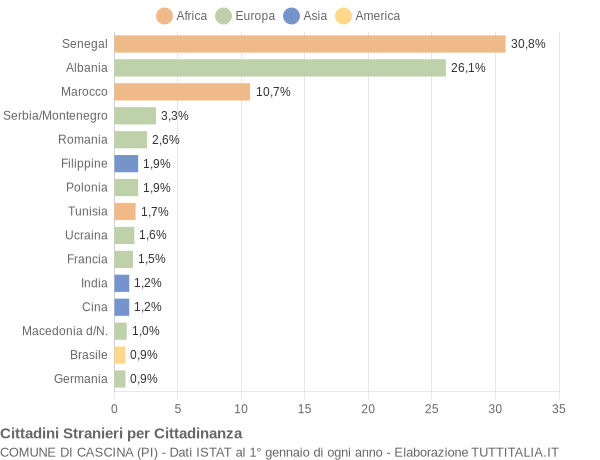 Grafico cittadinanza stranieri - Cascina 2004