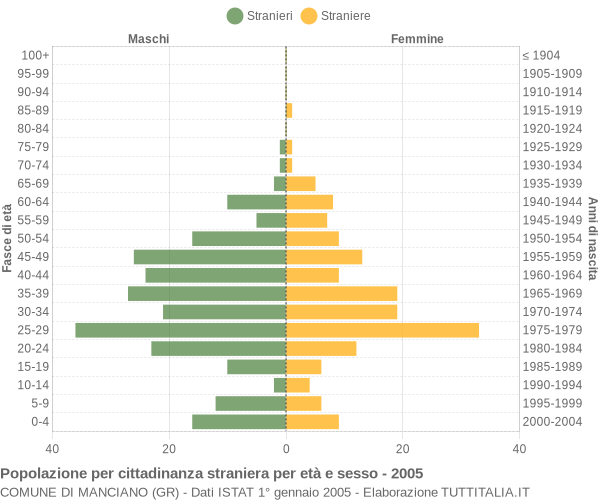 Grafico cittadini stranieri - Manciano 2005