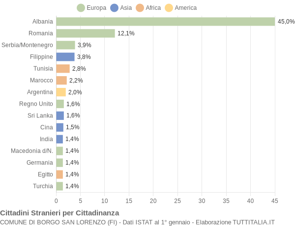 Grafico cittadinanza stranieri - Borgo San Lorenzo 2007