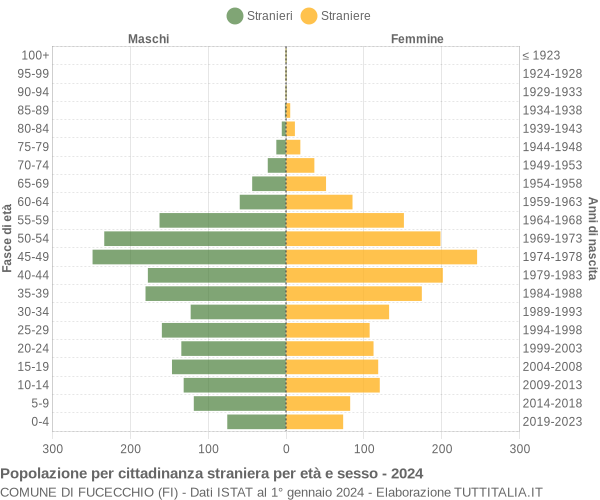 Grafico cittadini stranieri - Fucecchio 2024