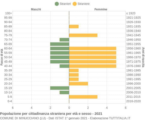 Grafico cittadini stranieri - Minucciano 2021