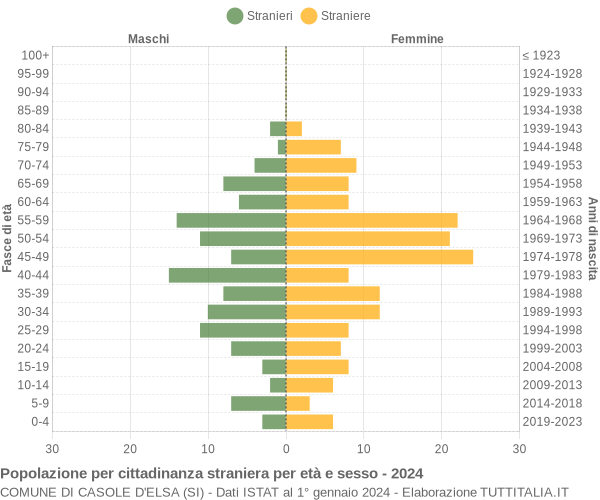 Grafico cittadini stranieri - Casole d'Elsa 2024