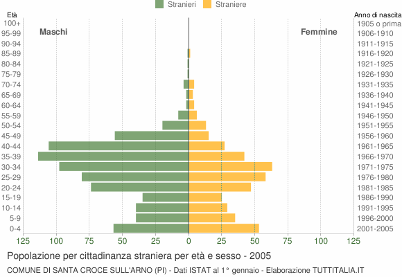 Grafico cittadini stranieri - Santa Croce sull'Arno 2005
