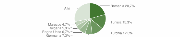 Grafico cittadinanza stranieri - Seggiano 2010