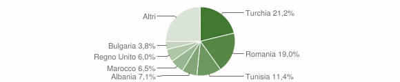 Grafico cittadinanza stranieri - Seggiano 2013