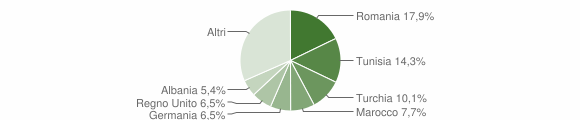 Grafico cittadinanza stranieri - Seggiano 2014