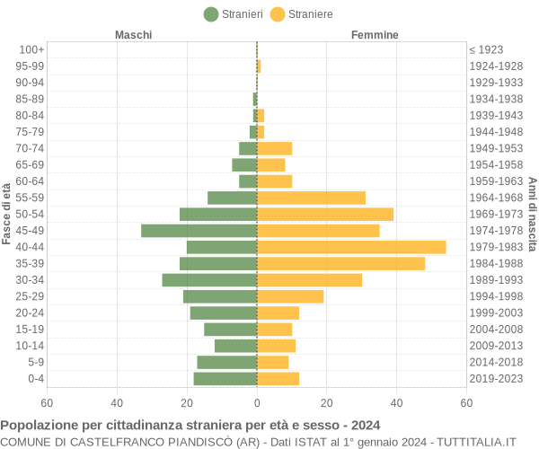 Grafico cittadini stranieri - Castelfranco Piandiscò 2024