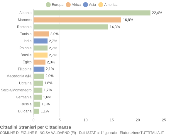 Grafico cittadinanza stranieri - Figline e Incisa Valdarno 2008