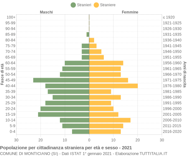 Grafico cittadini stranieri - Monticiano 2021