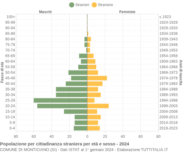 Grafico cittadini stranieri - Monticiano 2024