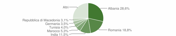 Grafico cittadinanza stranieri - Bucine 2009